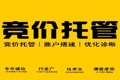 竞价排名案例：提升品牌知名度